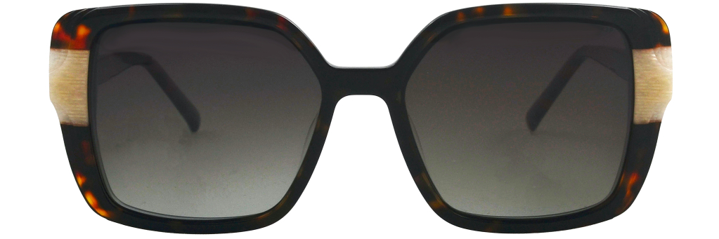 cs-fa2-c3