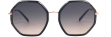 ls68-c1