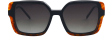 cs-fa1-c1